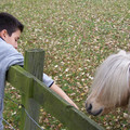 100_0508.jpg